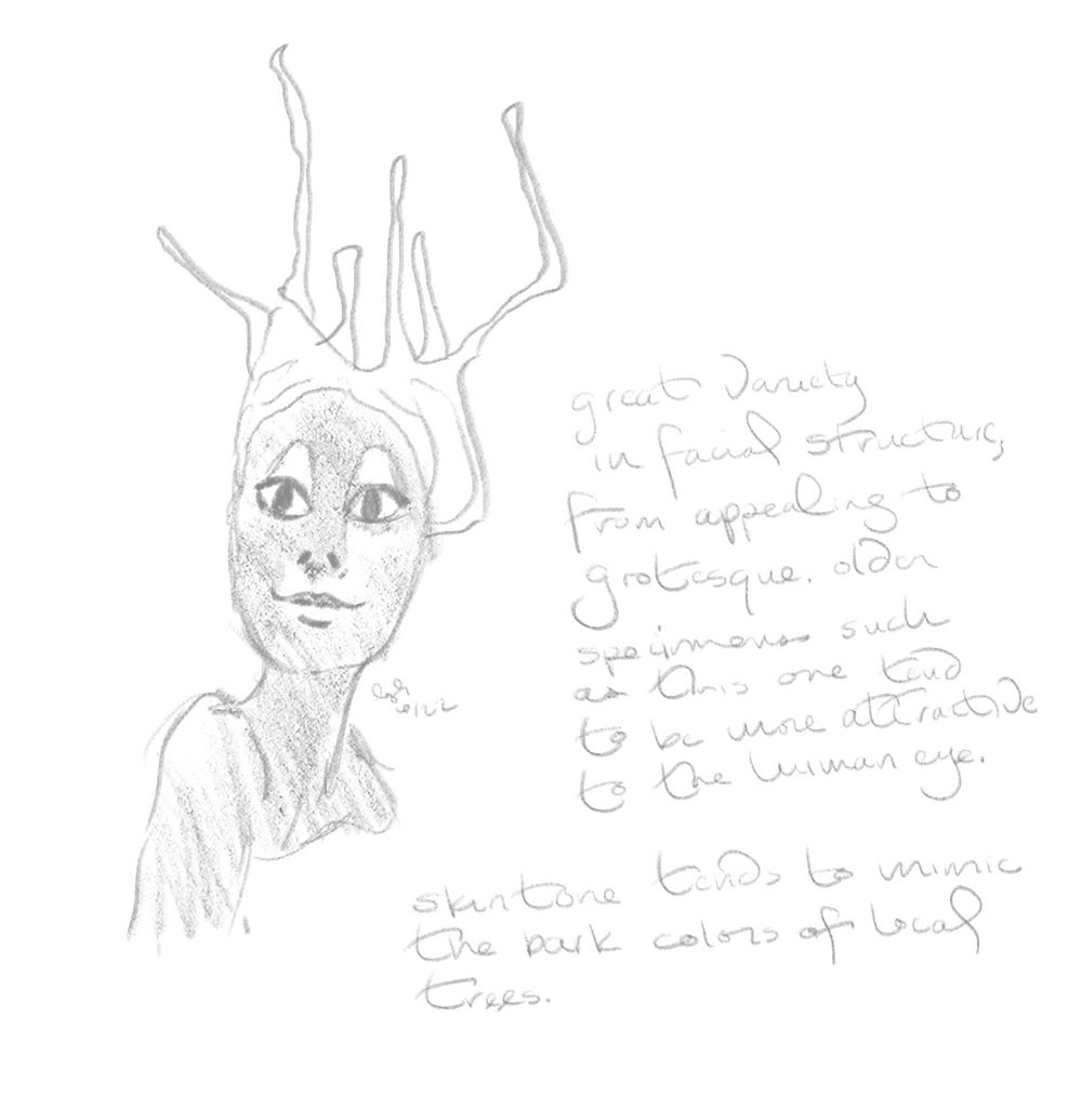 Drawing